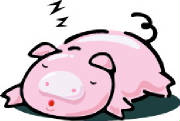 sleepingpig.jpg